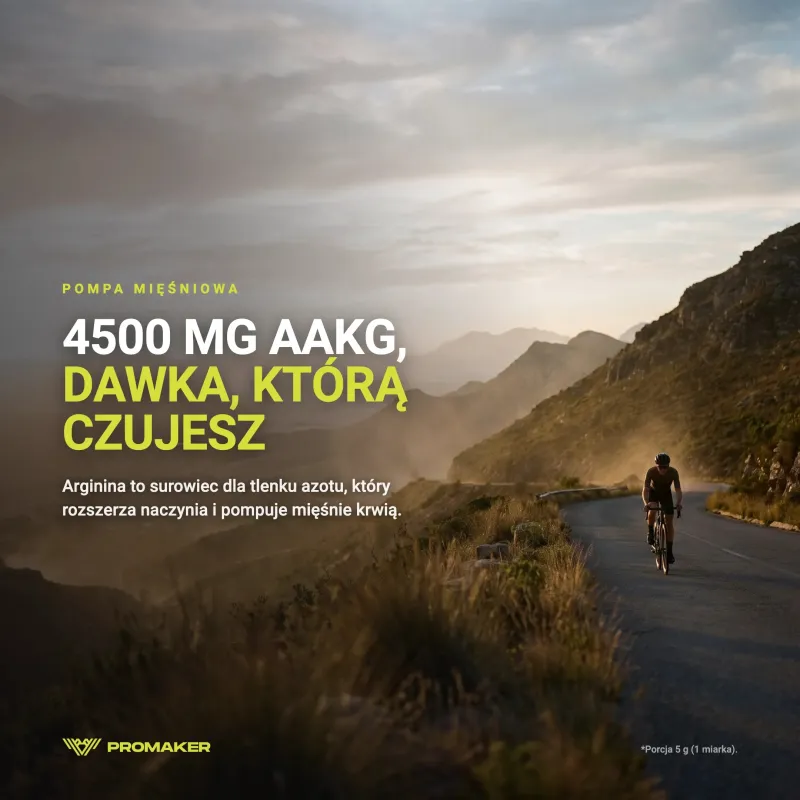 PROMAKER AAKG НАСОСНАЯ ДОБАВКА 250 Г – ежедневная добавка от польского производителя