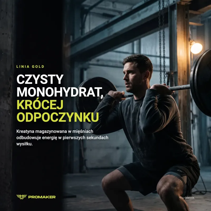 KREATYNA PROMAKER CREATINE MONOHYDRATE 300 G – everyday supplement from a Polish manufacturer