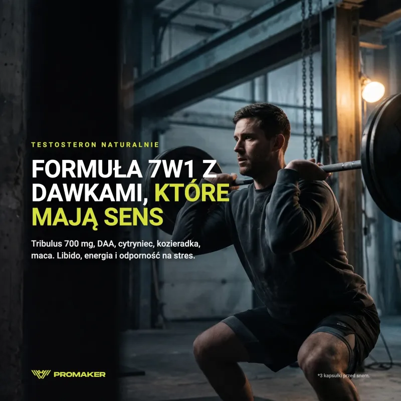 Booster Testosteronu Promaker Boosteron Maxxx 90kaps – everyday supplement from a Polish manufacturer