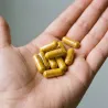 Trawienie Promaker Kurkuma 90caps – pojedyncza porcja