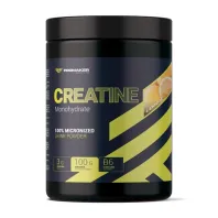 KREATYNA PROMAKER CREATINE MONOHYDRATE 300 G